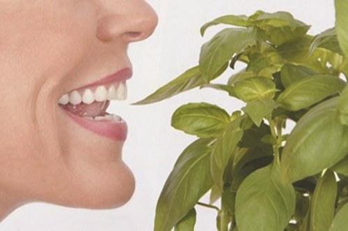 口臭发生的原因分析(口臭产生的主要原因)