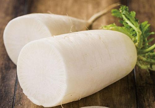 养胃吃什么食物好 狗狗养胃吃什么食物好