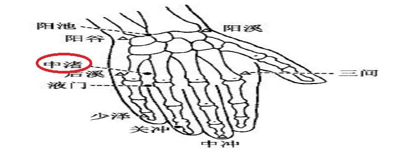 中渚的正确位置（中渚的准确位置图和作用简单方法）