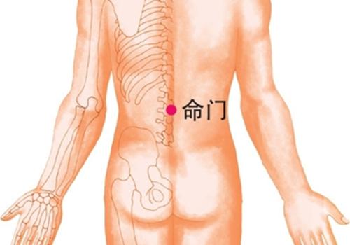 早泄拔罐位置示意图（拔罐的示意图）