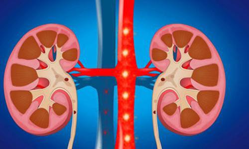肾功能异常的原因 肾功能异常的原因是什么