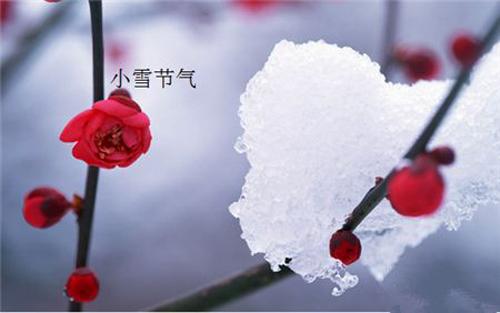 小雪养生 小雪养生知识提醒