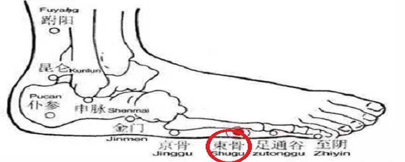 束骨定位和主治 束骨定位的准确位置及作用