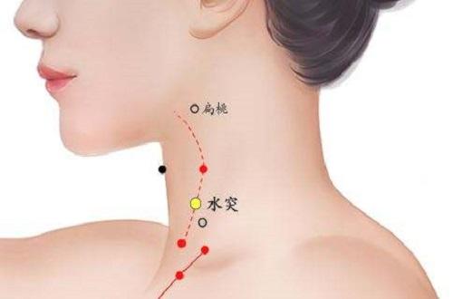 水突的准确位置图作用 水突的准确位置图作用功效