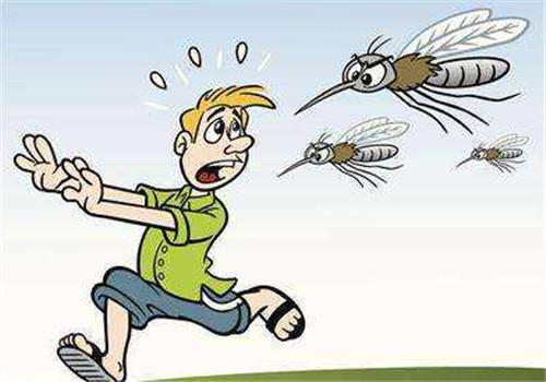 蚊子喜欢叮咬什么血型的人（蚊子喜欢叮咬什么血型的人蚂蚁庄园）