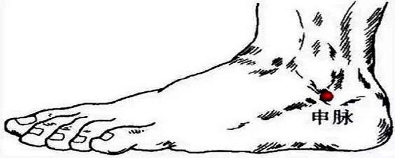 申脉的准确位置视频（申脉的准确位置视频怎么进针）
