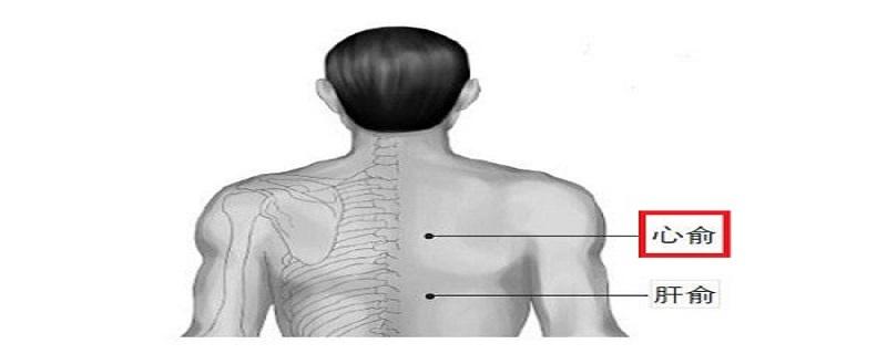心俞的位置和功效 心俞的位置和功效与作用