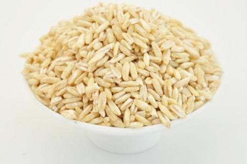 肠胃不适吃什么食物(肠胃不适吃什么食物助消化)