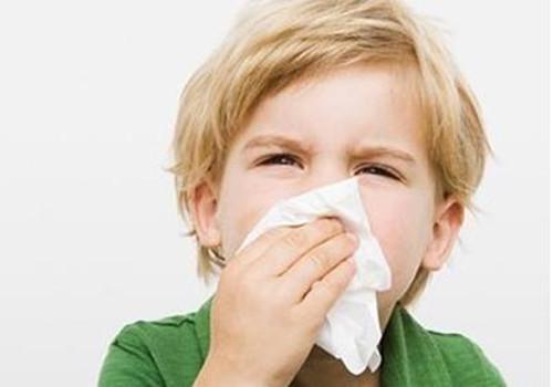 秋季鼻子干燥怎么办（秋季天气干燥鼻子干怎么办）