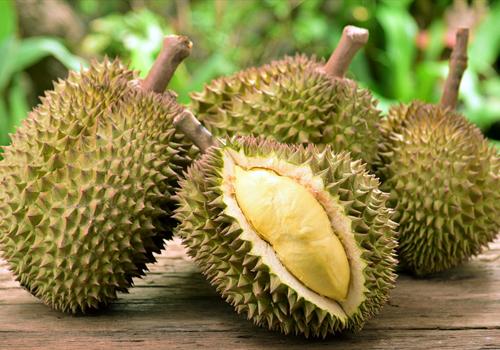 一岁宝宝可以吃榴莲吗 一岁宝宝可以吃榴莲么