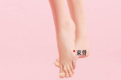 束骨的准确位置图（束骨的准确位置图作用视频）