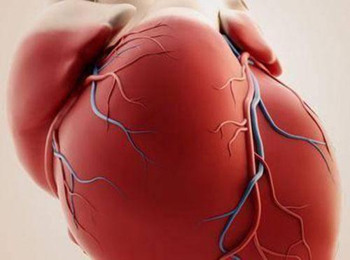 心房颤动的表现（心房颤动的表现不包括）