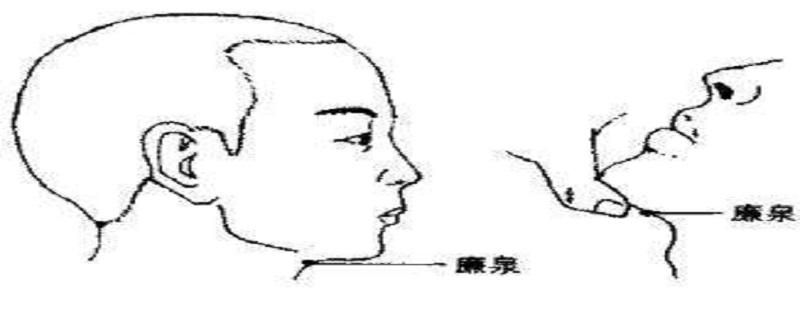 廉泉准确位置图（廉泉准确位置图和作用及功效）