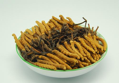 冬虫夏草可以和红枣一起吃吗 冬虫夏草和红枣一起吃的好处