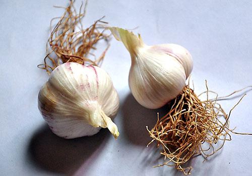 醋泡大蒜用陈醋还是白醋 泡大蒜是用白醋好还是陈醋好呢