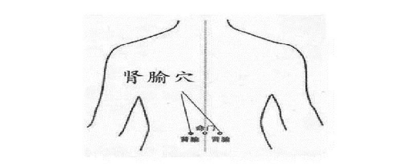 肾俞在身体哪个位置 肾俞在身体哪个部位