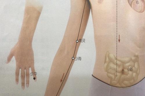 少海准确位置图和作用(少海准确位置图和作用的准确位置图和作用)