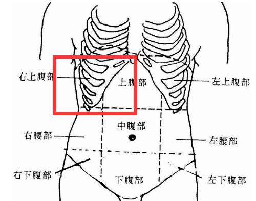 右上腹部疼痛的可能病因（男人右上腹部疼痛的可能病因）