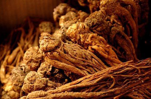 补气血的食物有哪些(月子补气血的食物有哪些)