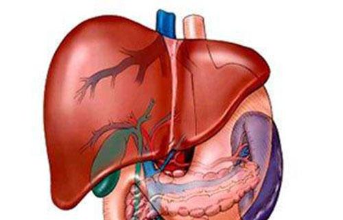 肝囊肿是怎么回事 肝囊肿是怎么回事,应该怎么处理