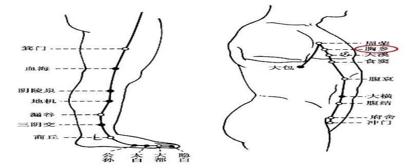 胸乡在什么位置 胸乡准确位置图和作用视频