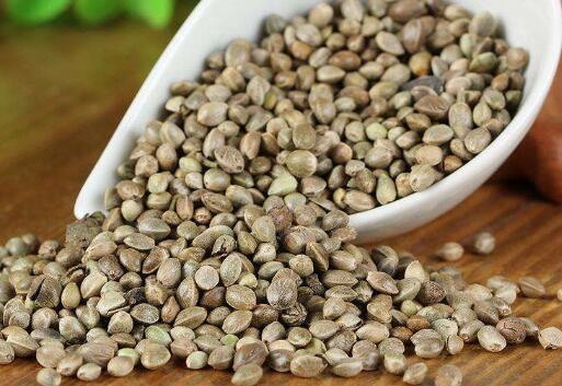 火麻仁的营养价值