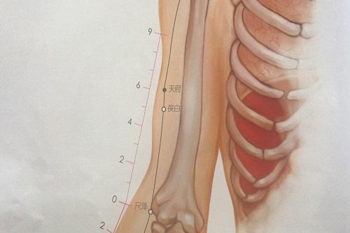 天府的准确位置图和作用 天府的准确位置图和作用视频