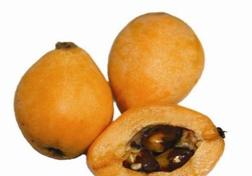 枇杷核泡水能喝吗（枇杷果核泡水的功效）