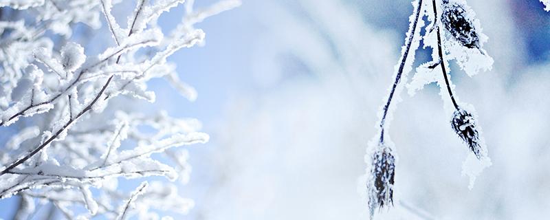 大雪注意事项 下大雪注意事项