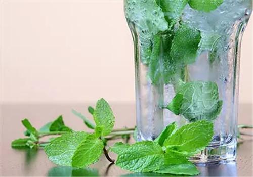 薄荷叶泡水喝好吗 薄荷叶泡水喝有7大功效