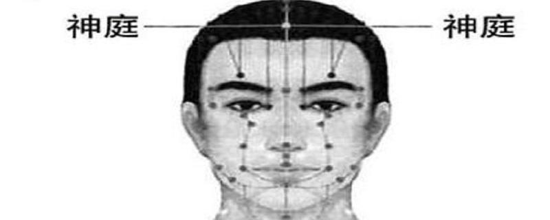 神庭在什么位置(神庭在哪里)