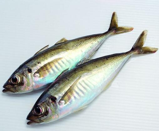 4类人吃鱼如自杀有致命危险