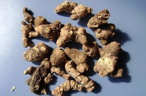 芳香化湿的中药有哪些(中药芳香化湿药有哪些)