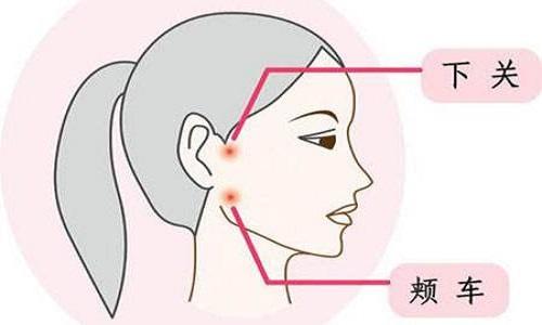 颊车的准确位置图 颊车的准确位置图和主治作用