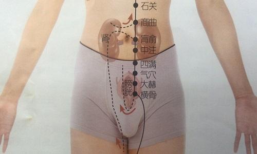 石关的准确位置图(石关的准确位置图作用)