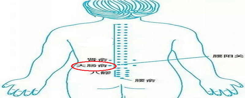 针灸大肠俞有什么作用（灸大肠俞的作用）