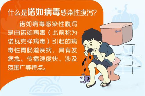 什么是诺如病毒