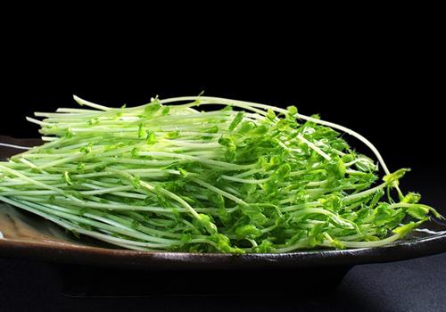孕妇能吃豌豆苗吗（孕妇能吃豌豆苗吗初期）