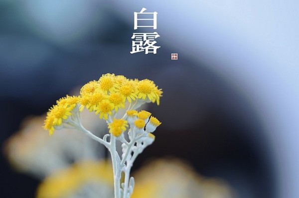 白露节气做什么运动