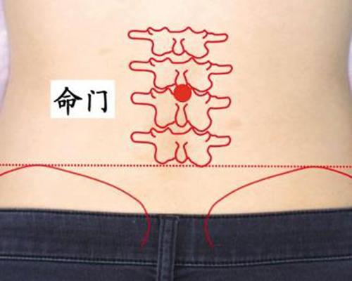 三伏贴能治类风湿吗（三伏贴治疗风湿）