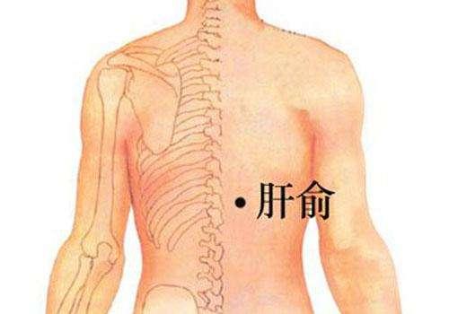 养肝护肝按摩哪里 按摩哪里可以护肝