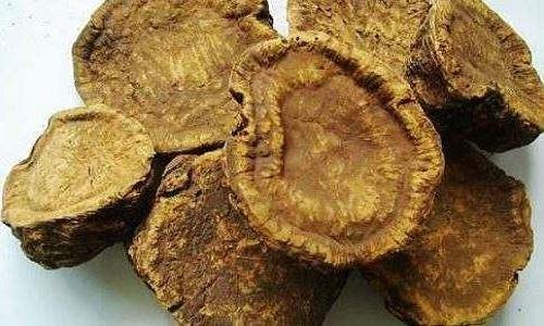 除湿吃什么中成药（祛热除湿吃什么中成药）