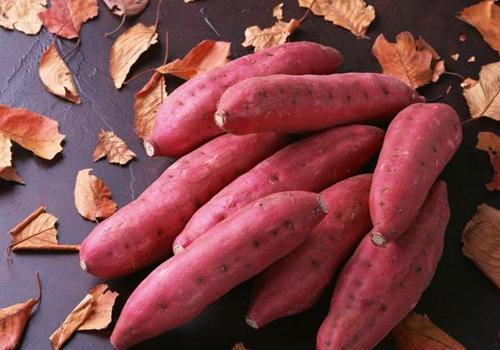 吃红薯可以治便秘吗（经常吃红薯能治便秘吗）