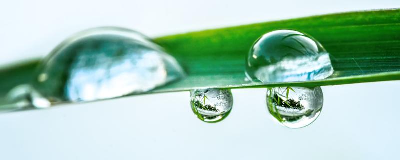 谷雨是什么季节 过了谷雨就是夏天了吗