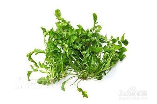 养肝护肝的食物有哪些（对肝好的食物）