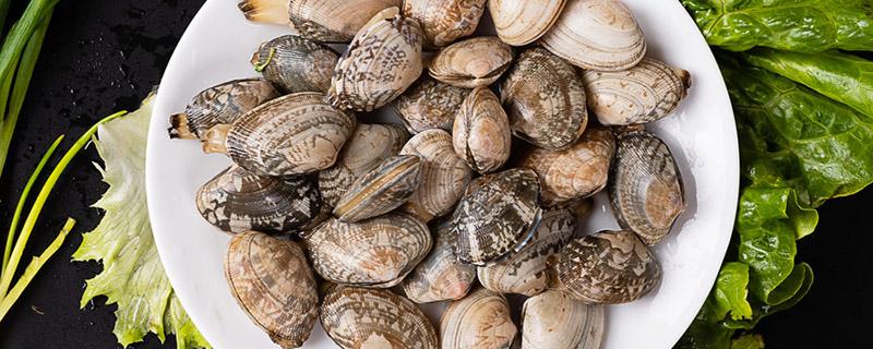 花蛤儿童能吃吗 花蛤儿童吃了好消化吗