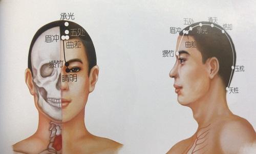 五处的准确位置图 五处的准确位置图和作用视频