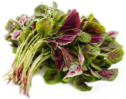 吃哪些食物降血压 吃哪些食物降血压效果好