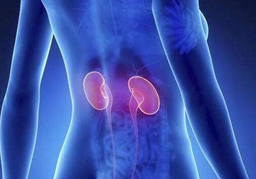 肾脏不好会高血压吗