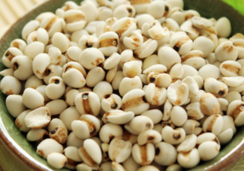 熟薏米泡水有什么功效（熟薏米泡水喝有什么功效）